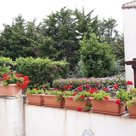 Villino Messina Lejlighed San Vito Lo Capo Eksteriør billede