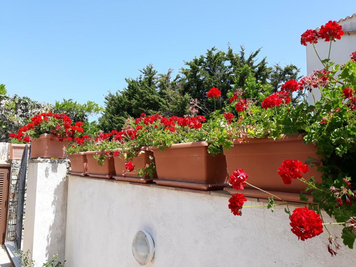 Villino Messina Lejlighed San Vito Lo Capo Eksteriør billede